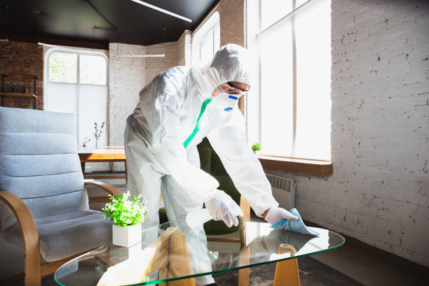 Best Comprehensive Air Testing for Mold Contaminants in Northgate, OH